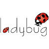 ladybug Marienkäfer
