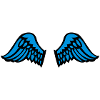 wings