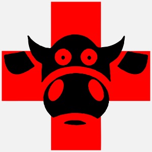 Schweizerkreuz mit Kuh