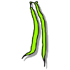 Haricots verts