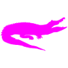 Crocodile (monochrome)