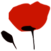 Blume