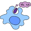Phagocytosis