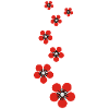 kirschblüten