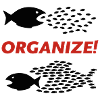 Organize!