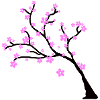 flowering tree