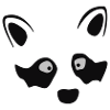 racoon
