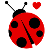ladybird