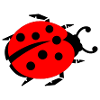 ladybug marienkaefer
