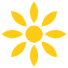 Sun - Flower