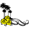 Flower - Palms