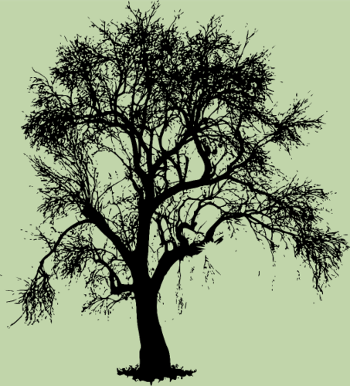 Sauvez les Arbres - Amoureux de la Forêt