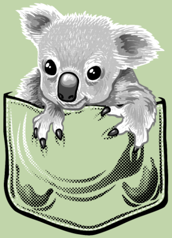 Koala Stylé à la Pochette
