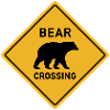 bear crossing