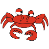 Red Crab