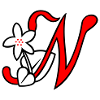 Symbol N