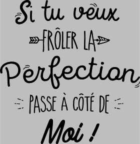 Motif Perfection, c'est moi ! personnalisé sur vêtement