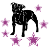 sbtstars111