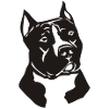 pitbullterrierdog901