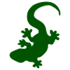 lizard