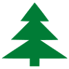 fir