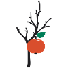 Apfelbaum apple tree