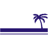 Summer Palm Tree