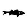 poisson