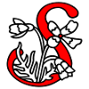 Lettre S