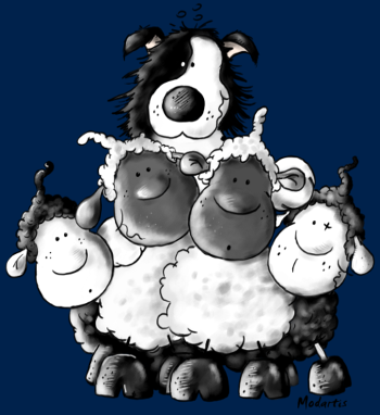 Border Collie et Moutons - Un Vrai Chien de Berger