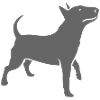 bully_headup
