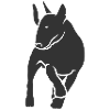bully_inmotion