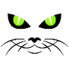 cat face - katzengesicht