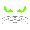 cat face - katzengesicht