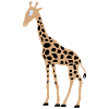 Giraffa