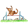 Agility Hürde
