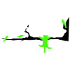 catvogel