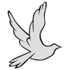 Dove of peace