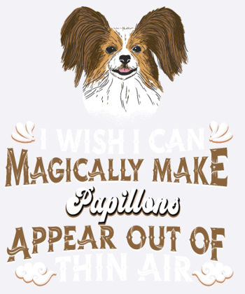 Papillon Hund