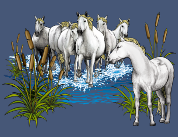 Chevaux Camarguais : L'Esprit Sauvage de la Camargue