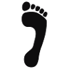 Foot