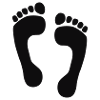 Feet