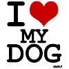 i love my dog