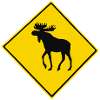 caribou
