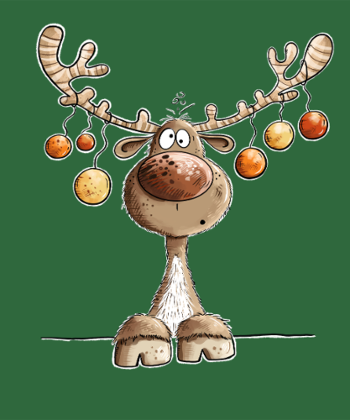 Rennes Festifs et Boules de Noël
