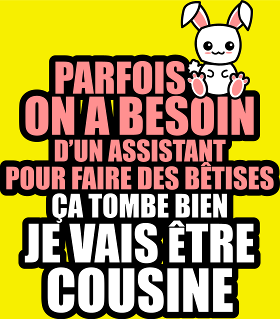 Motif T-Shirt Humour Future Cousine : Besoin D'un Assistant Pour Bêtises personnalisé sur vêtement
