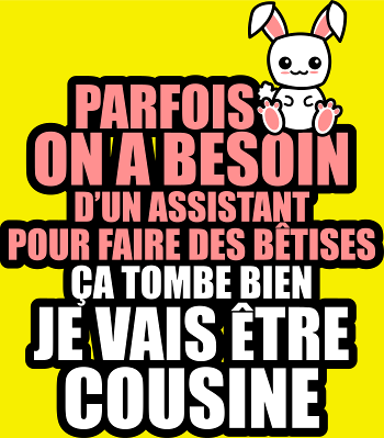 T-Shirt Humour Future Cousine : Besoin D'un Assistant Pour Bêtises