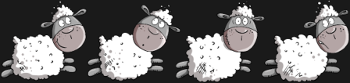 Moutons Rigolos