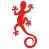 gekko