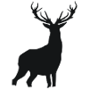Cerf